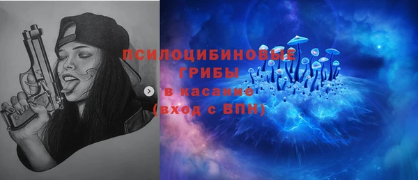 ГАЛЛЮЦИНОГЕННЫЕ ГРИБЫ Арсеньев