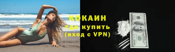 PSILOCYBIN Аркадак