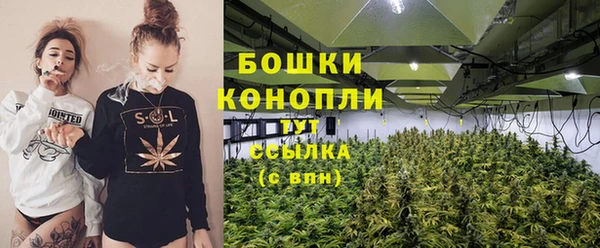 PSILOCYBIN Аркадак
