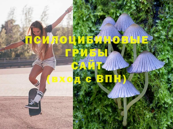 гидра Армянск