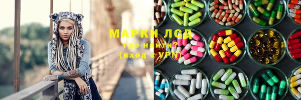 PSILOCYBIN Аркадак