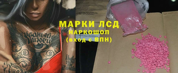 PSILOCYBIN Аркадак